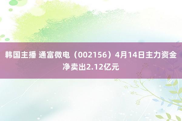 韩国主播 通富微电（002156）4月14日主力资金净卖出2.12亿元