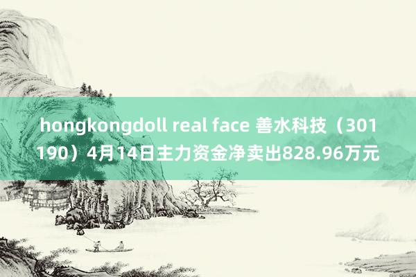 hongkongdoll real face 善水科技(301190)4月14日主力资金净卖出828.96万元