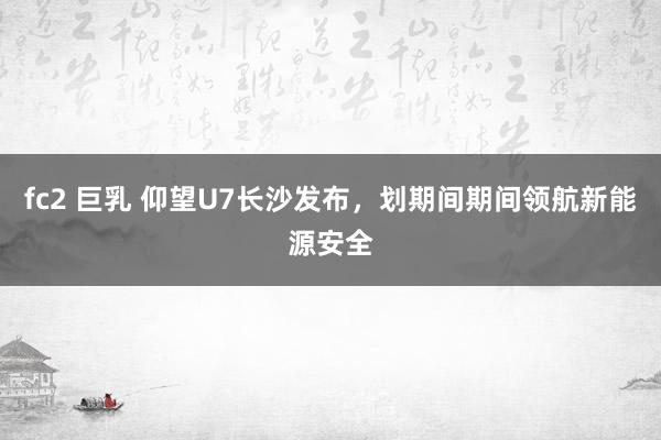 fc2 巨乳 仰望U7长沙发布,划期间期间领航新能源安全