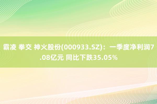 霸凌 拳交 神火股份(000933.SZ)：一季度净利润7.08亿元 同比下跌35.05%