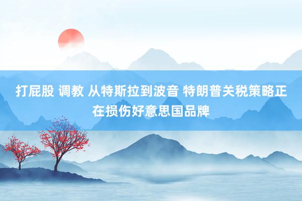 打屁股 调教 从特斯拉到波音 特朗普关税策略正在损伤好意思国品牌