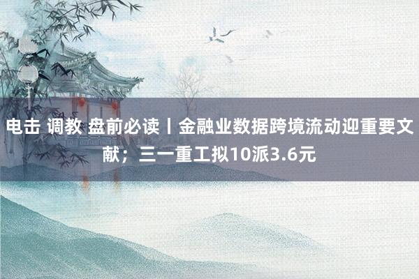 电击 调教 盘前必读丨金融业数据跨境流动迎重要文献;三一重工拟10派3.6元