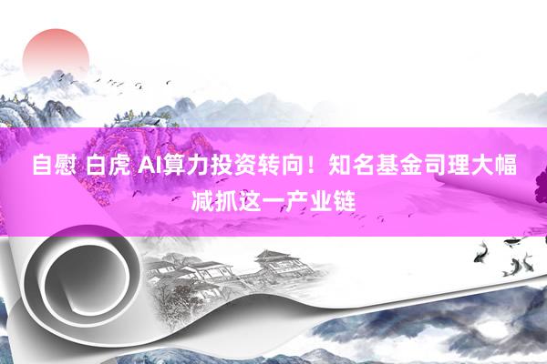 自慰 白虎 AI算力投资转向!知名基金司理大幅减抓这一产业链