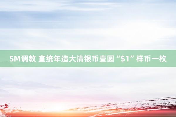 SM调教 宣统年造大清银币壹圆“$1”样币一枚