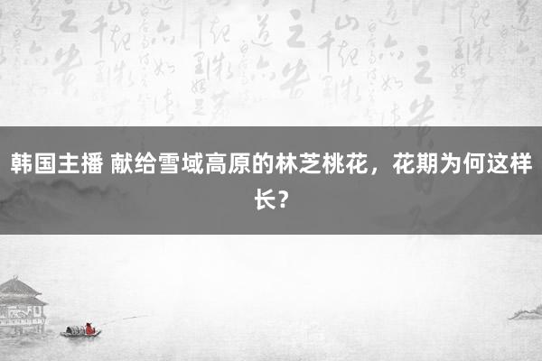韩国主播 献给雪域高原的林芝桃花,花期为何这样长?
