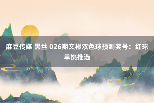 麻豆传媒 黑丝 026期文彬双色球预测奖号:红球单挑推选