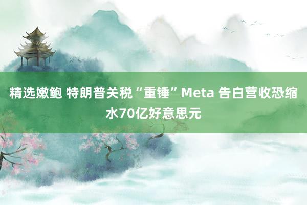 精选嫩鲍 特朗普关税“重锤”Meta 告白营收恐缩水70亿好意思元